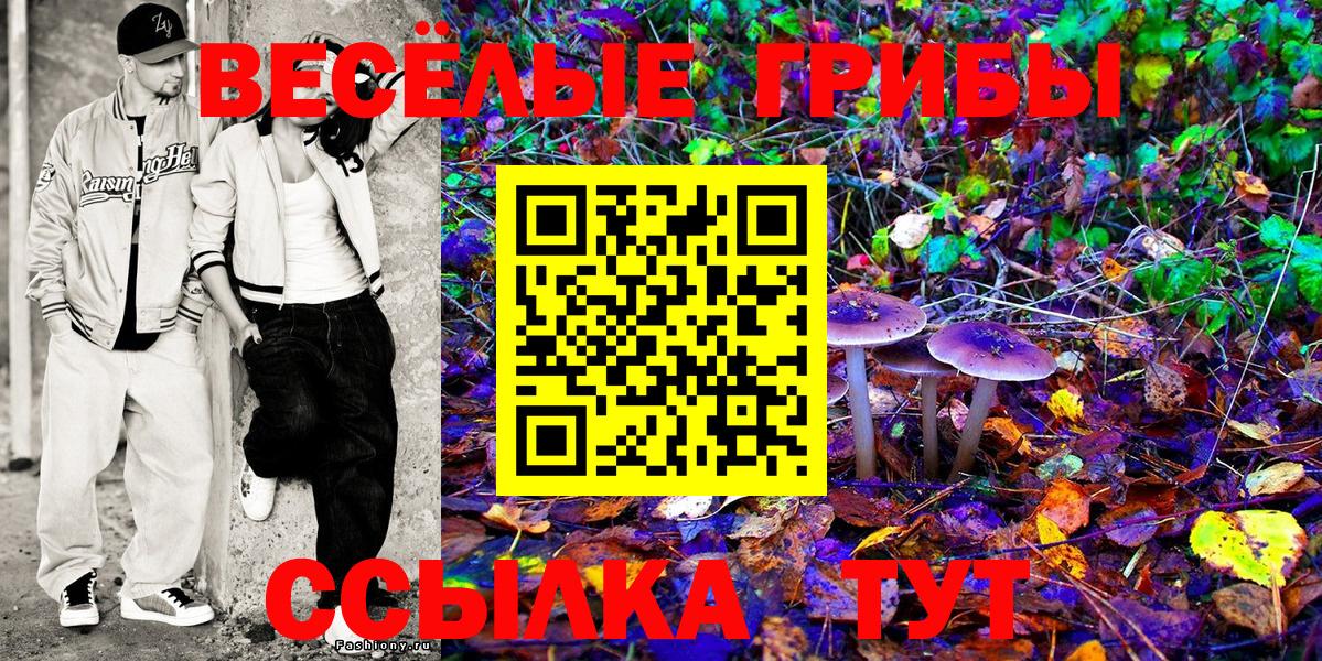 Псилоцибиновые грибы Psilocybine cubensis Советская Гавань