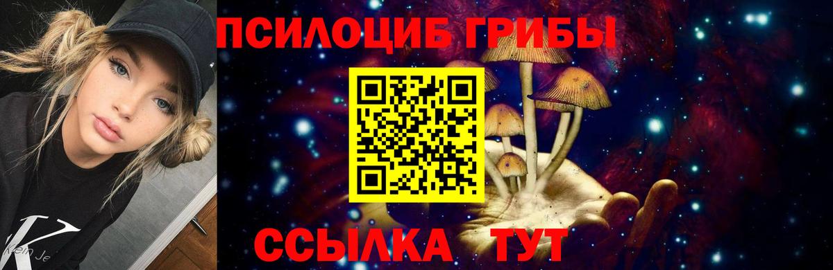 Советская Гавань  Галлюциногенные грибы Psilocybe  Вход с VPN 